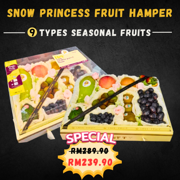 snow_princess